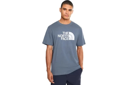 Мужская футболка The North Face Evolution 1/2 Dome, серая