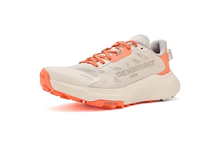 Кроссовки The North Face Altamesa 300 V2
