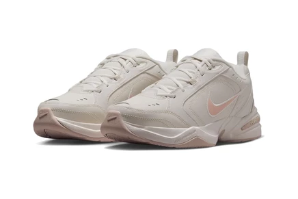 Мужские кроссовки Nike Air Monarch IV