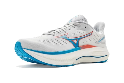 Мужские кроссовки Mizuno Wave Inspire 22