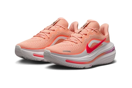Кроссовки Nike Air Winflo 12