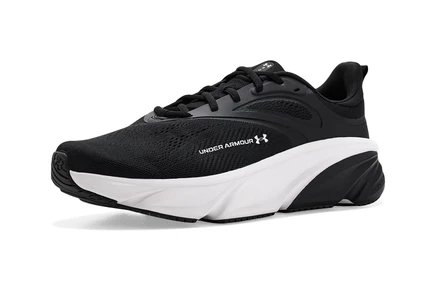 Мужские кроссовки Under Armour Charged Rogue 6 2e