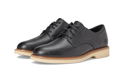 Мужские оксфорды Cole Haan Montrose Plain Toe, чёрно-ангоровые