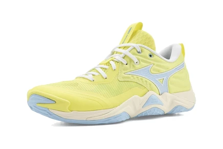 Кроссовки Mizuno Wave Momentum 4 Elite
