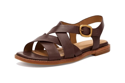 cocoa brown