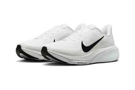 Мужские кроссовки Nike Air Zoom Pegasus 42