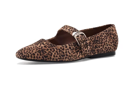 dark chestnut leopard