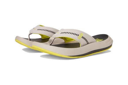Сандалии Reef Swellsole Cruiser