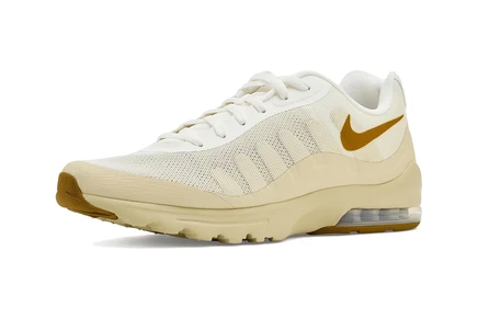 Мужские кроссовки Nike Air Max Invigor