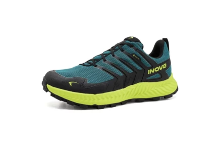 Мужские кроссовки INOV8 RocLite GTX