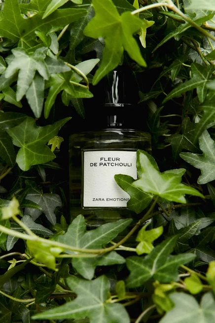 Женская парфюмерная вода Zara Fleur de Patchouli, 100 мл