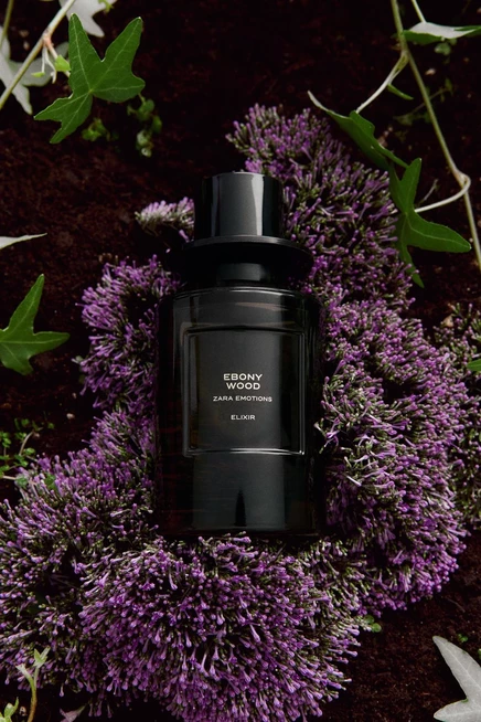 Женский парфюм ZARA Ebony Wood Elixir, 100 мл