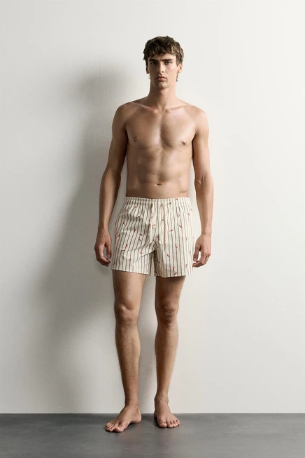 Мужские шорты для плавания ZARA Chili Stripe, экрю